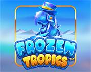 Frozen Tropics